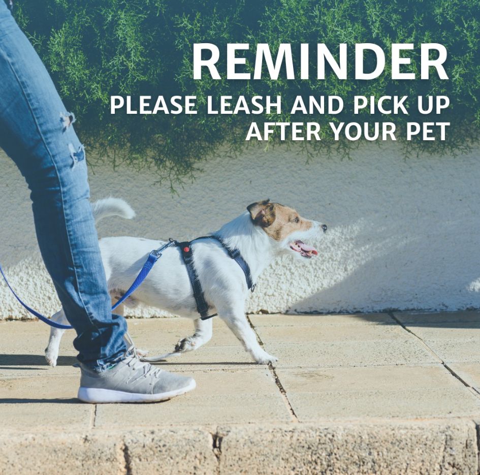 Leash Your Pet - Copy